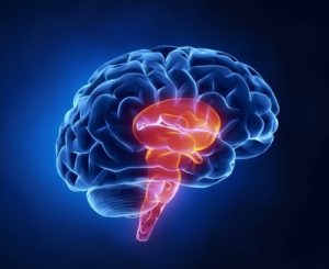 Did you suffer from a brain stem injury?