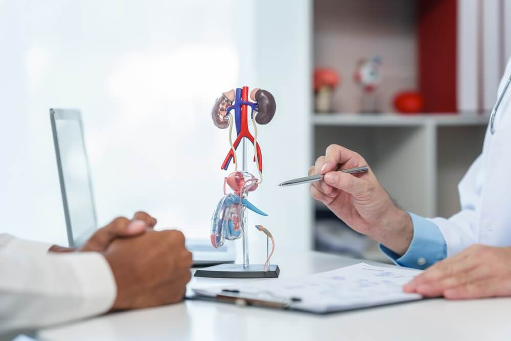 Doctor discussing prostate anatomy with patient – Chicago prostate cancer misdiagnosis lawyer consultation.